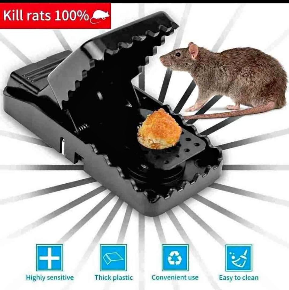 368351035_6340068712758384_4155077902765758453_n Mouse Trap (1 Pis) - Image 1