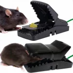 Mouse Trap (2pis)